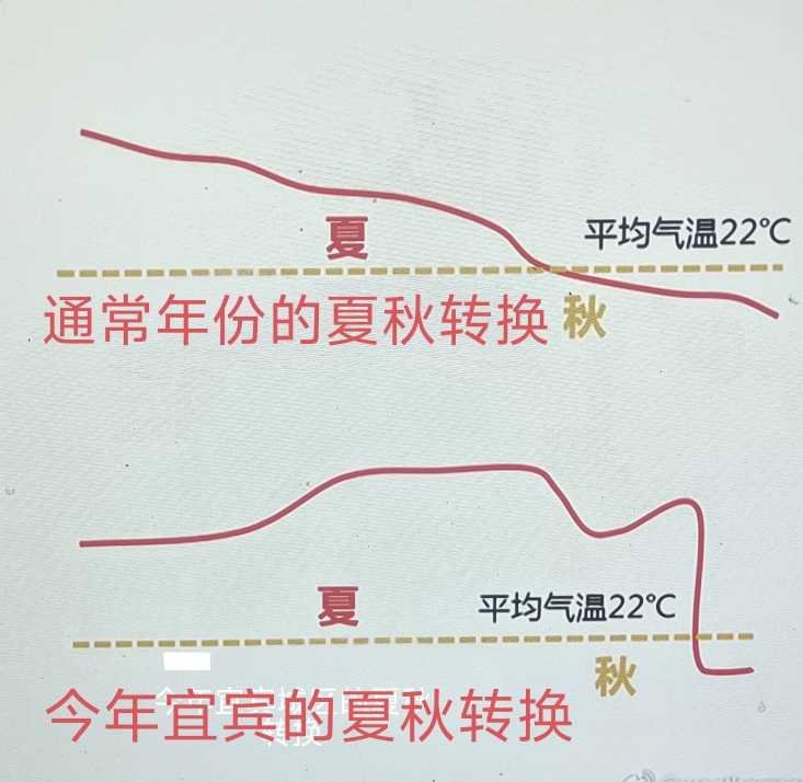 2024-09-29 21:00时跨过22℃的夏秋分界线强冷空气使宜宾城区遭遇“断崖式”入秋-1.jpg