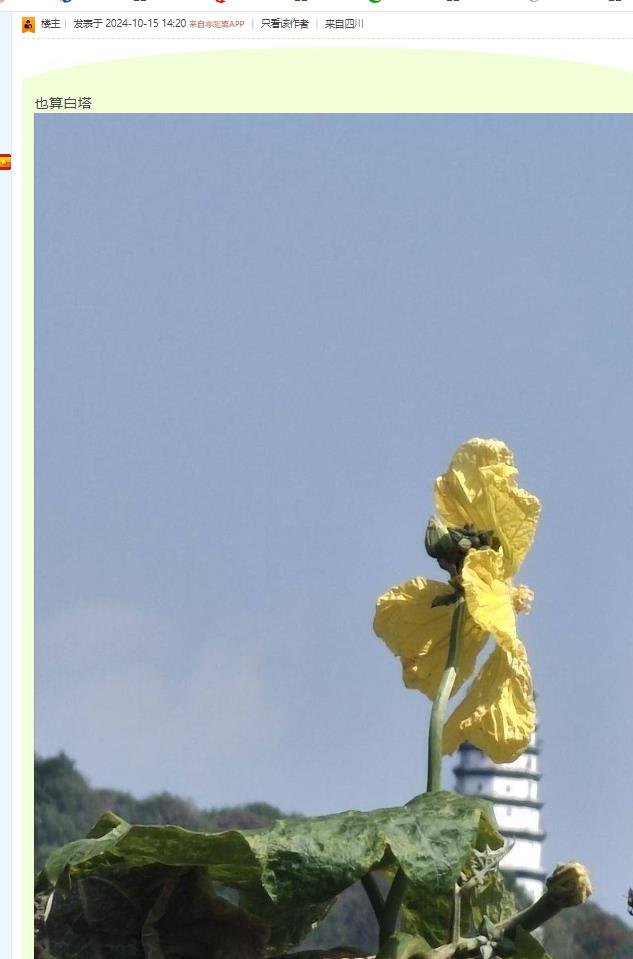 １.８.jpg