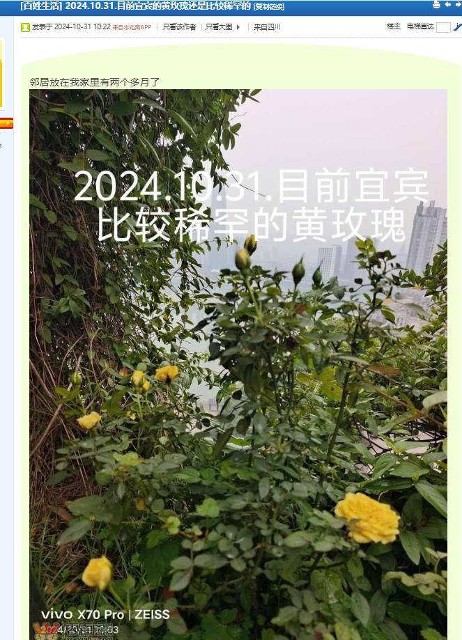 ７宜宾畅丰驾校.jpg