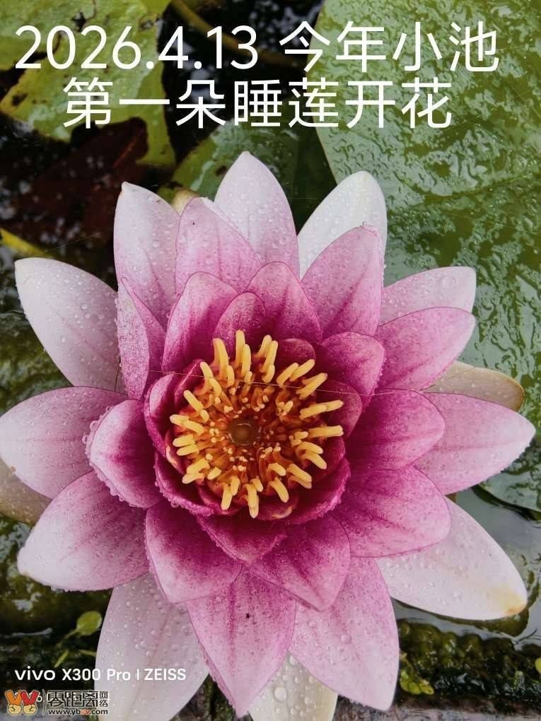 79e5625238a25bf7ccd68bf9f30c4c88_174321ff550qhlc7m7u775.jpg