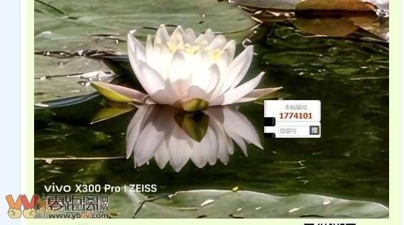 ca8458d2c5166b7acf1990ac85fea8b3_174712wzyk9x8wfa7g9w9w.jpg