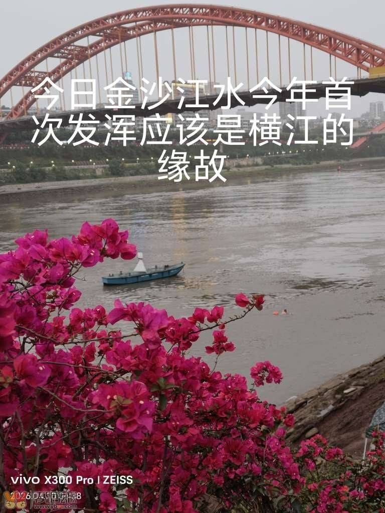 a39052c149951cce53588f67059084a6_064119nggd5jf0dctxfdk5.jpg