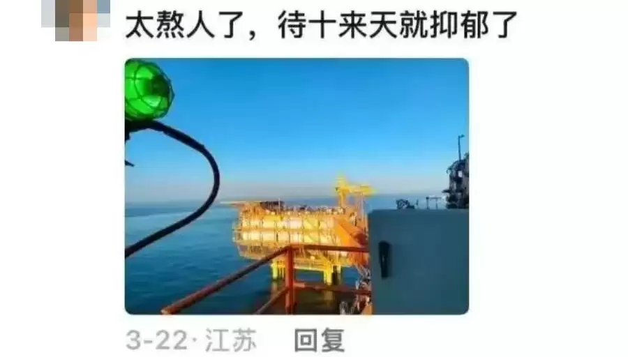 d9.jpg