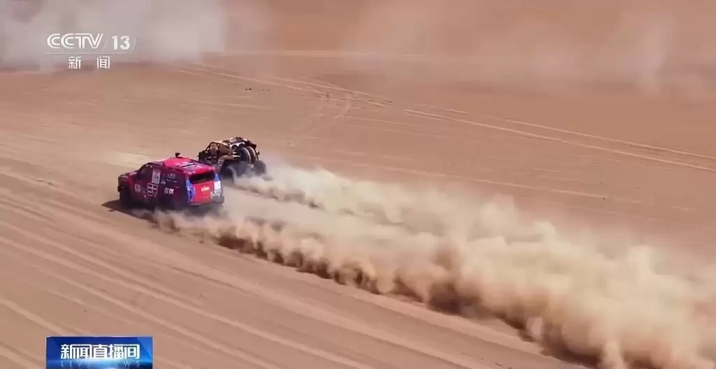 d2.jpg