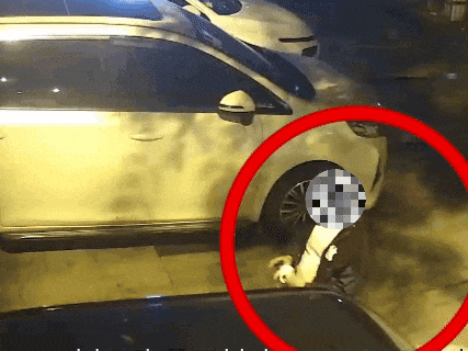 203327fidudzrv1ninuznl.gif.webp