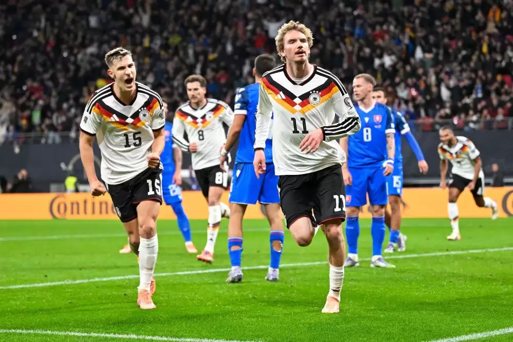 d7.jpg
