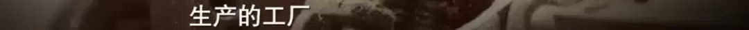 d5.jpg