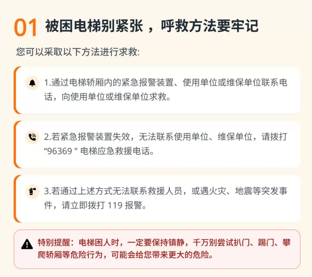 d4.jpg