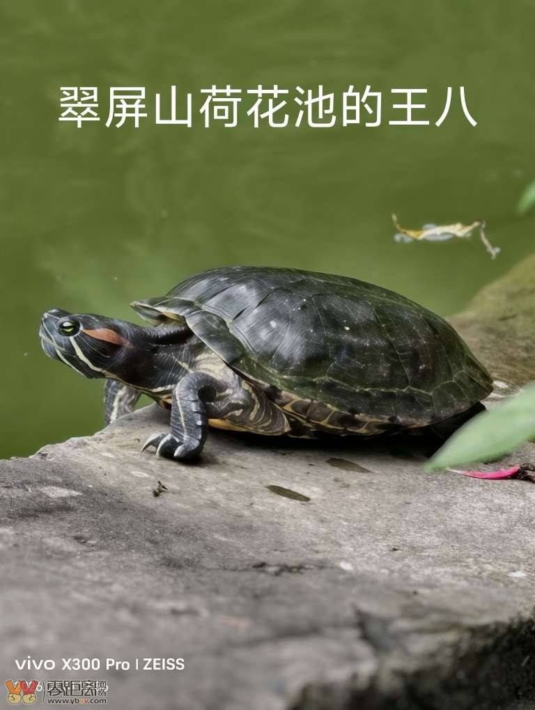 0736427f9f590d9fb7b70aa9007eb4b6_130045jkr5ok5h1gksslbk.jpg