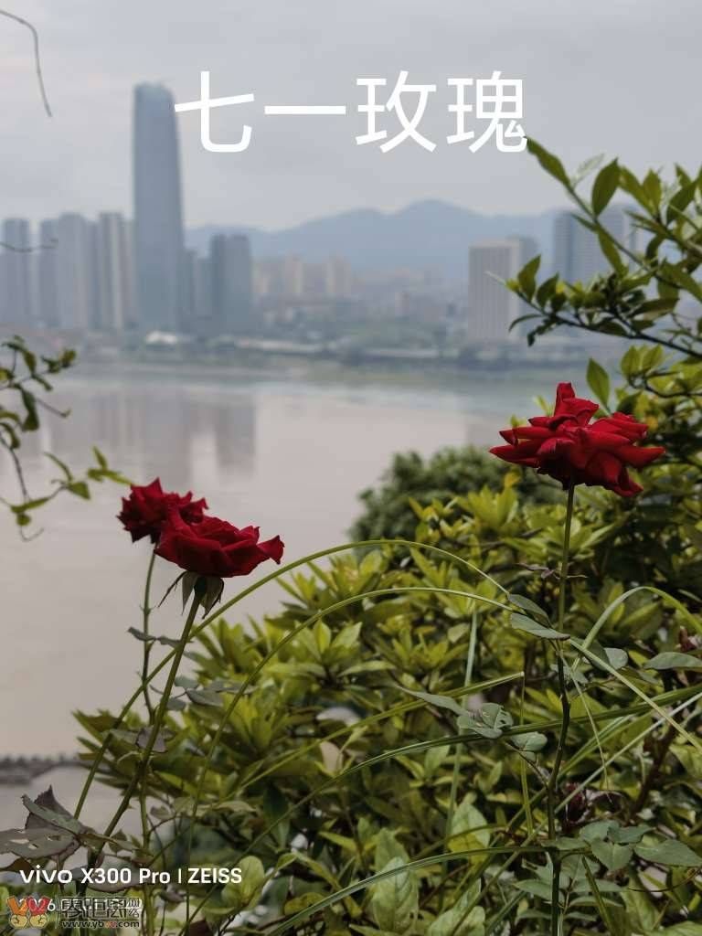 d50e147300972d2cc36a1d6f10aad184_105237oo6qt76zsh40q2n0.jpg