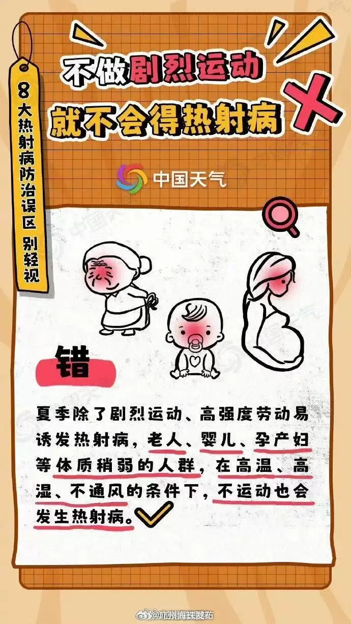 d5.jpg