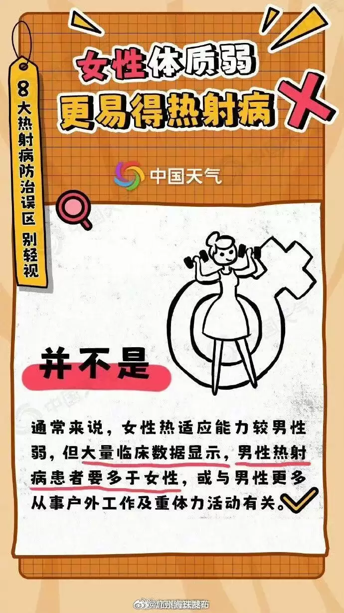 d9.jpg