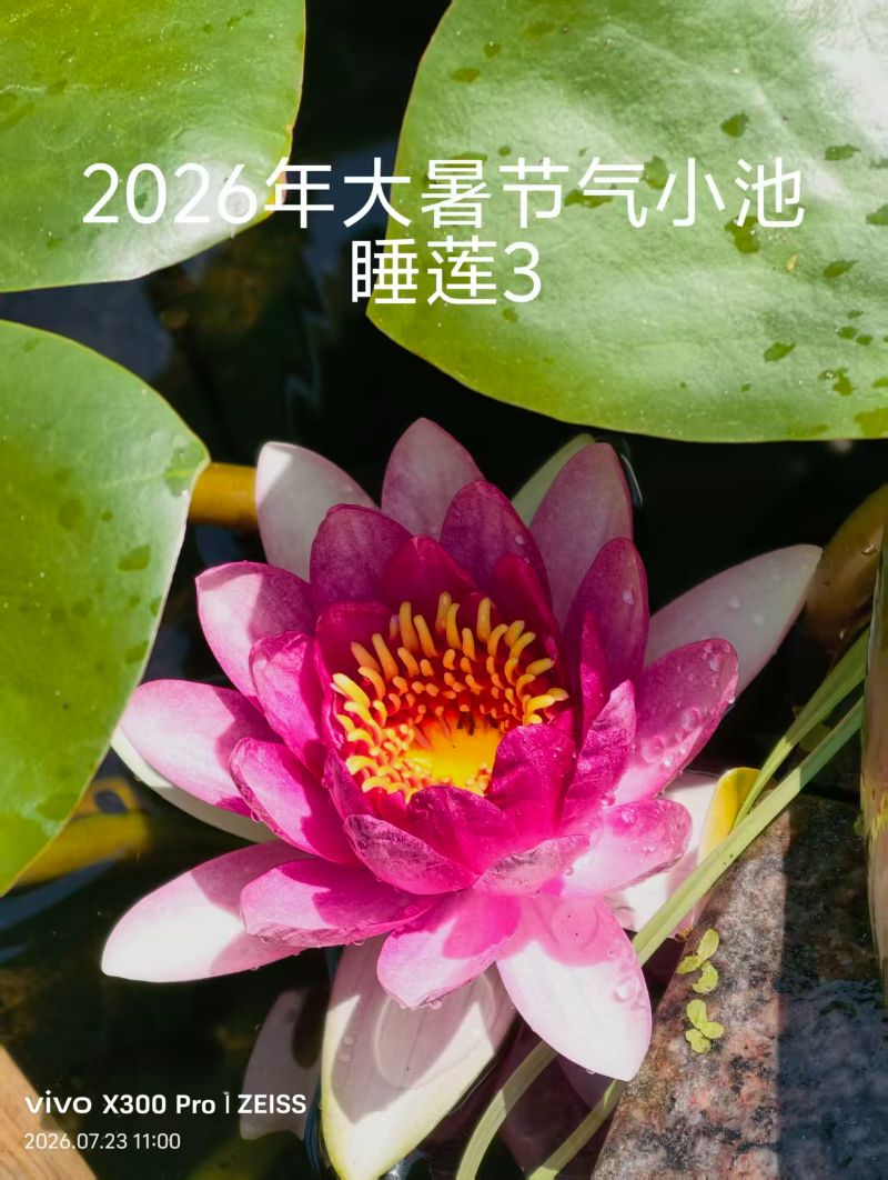 6fe1a8a1a8061d37d64e67d9473dbf0f.jpg