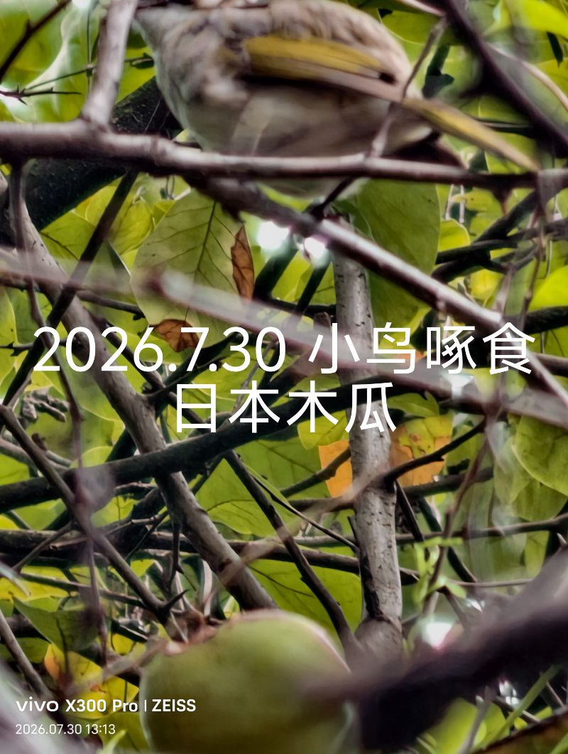 IMG_20260730_131556.jpg