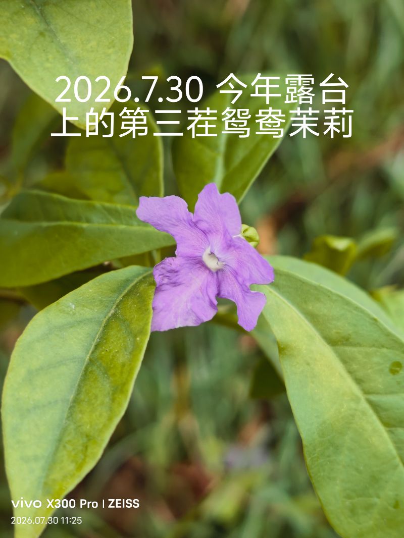 IMG_20260730_112800.jpg