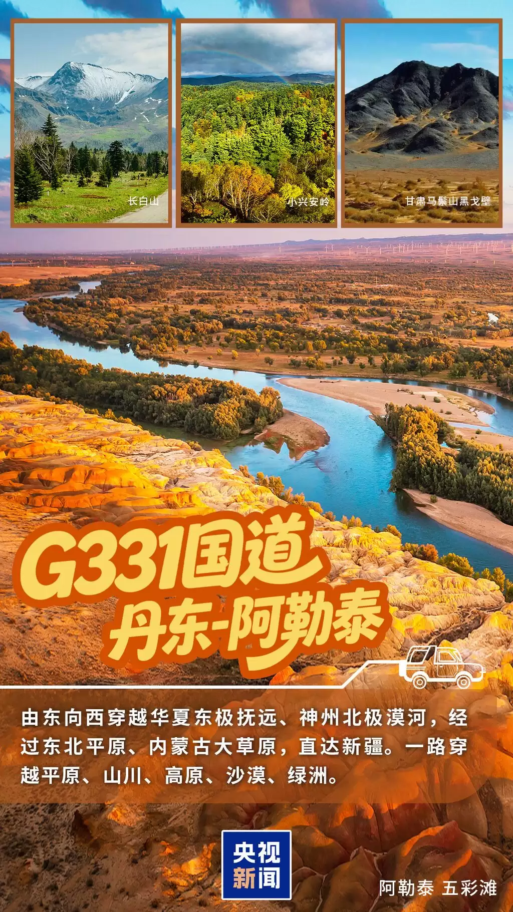 d7.jpg