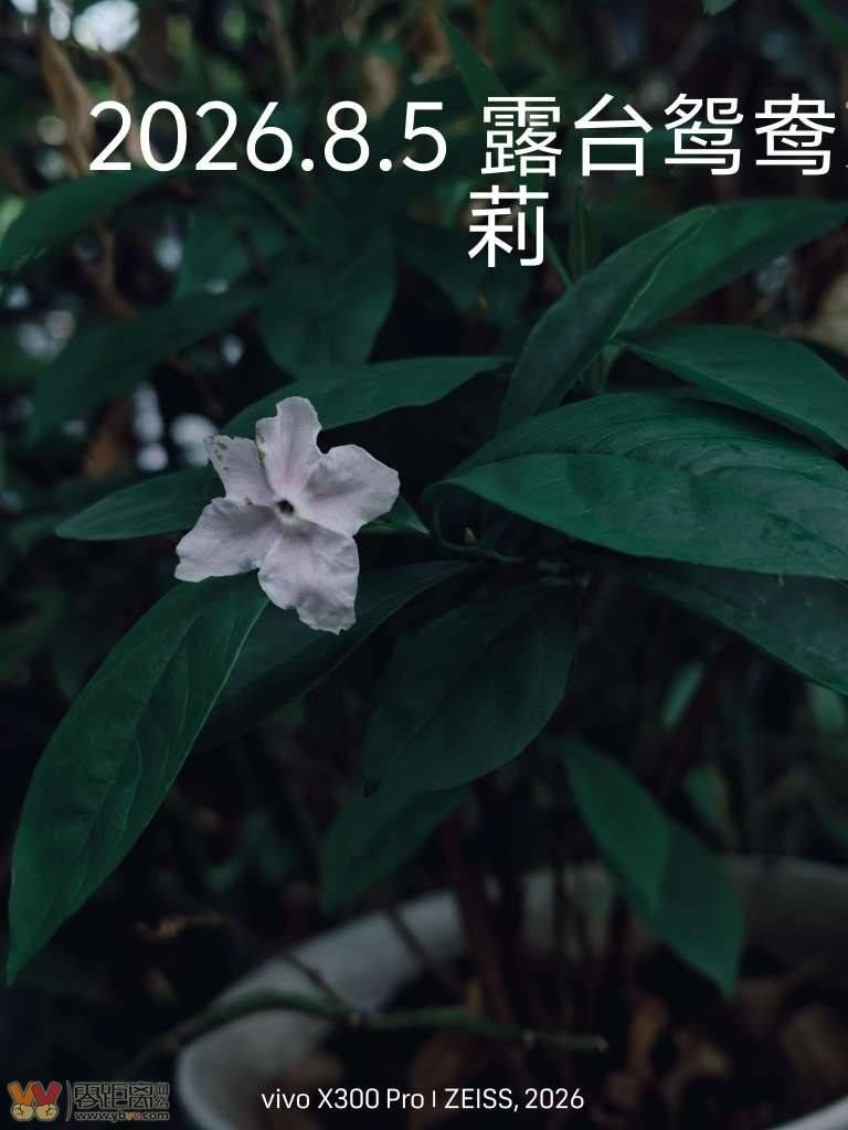 964cdf58a7c8726ec610b88b14c522dd_094139qw2919oj95ye9e2y.jpg