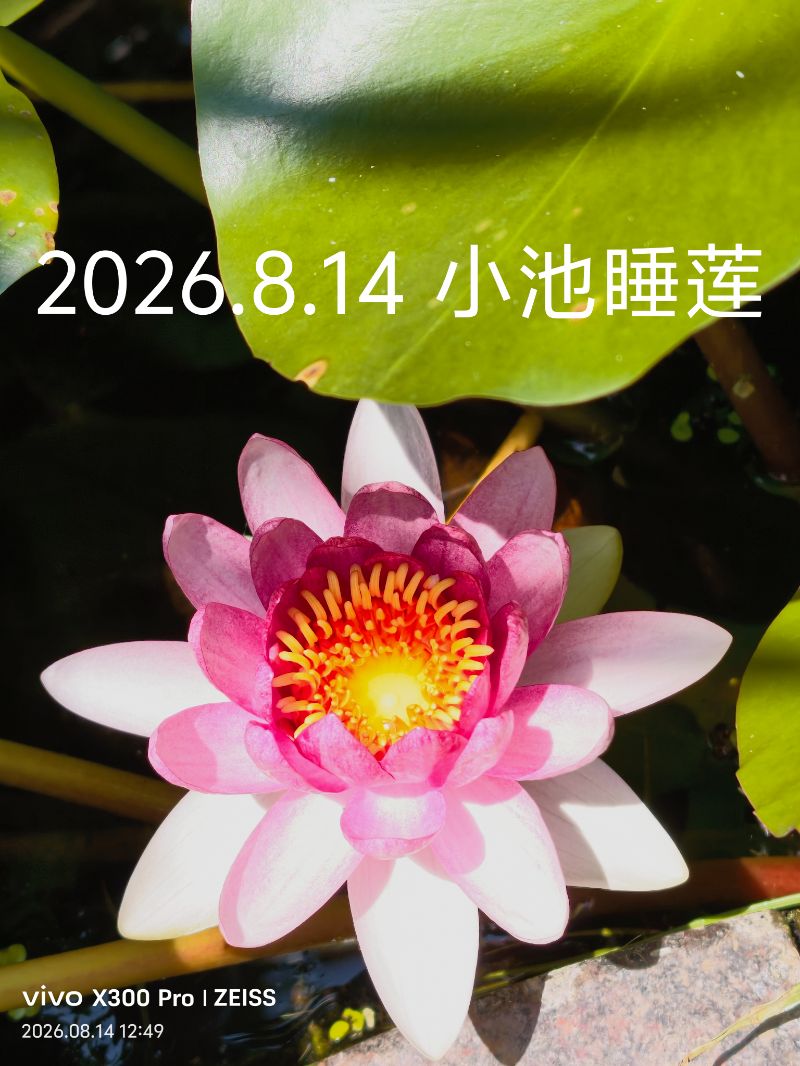 IMG_20260814_130314.jpg