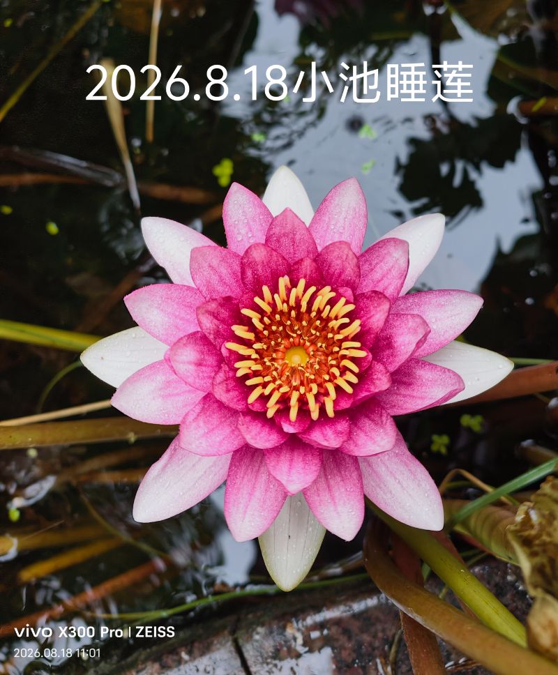 IMG_20260818_110556.jpg