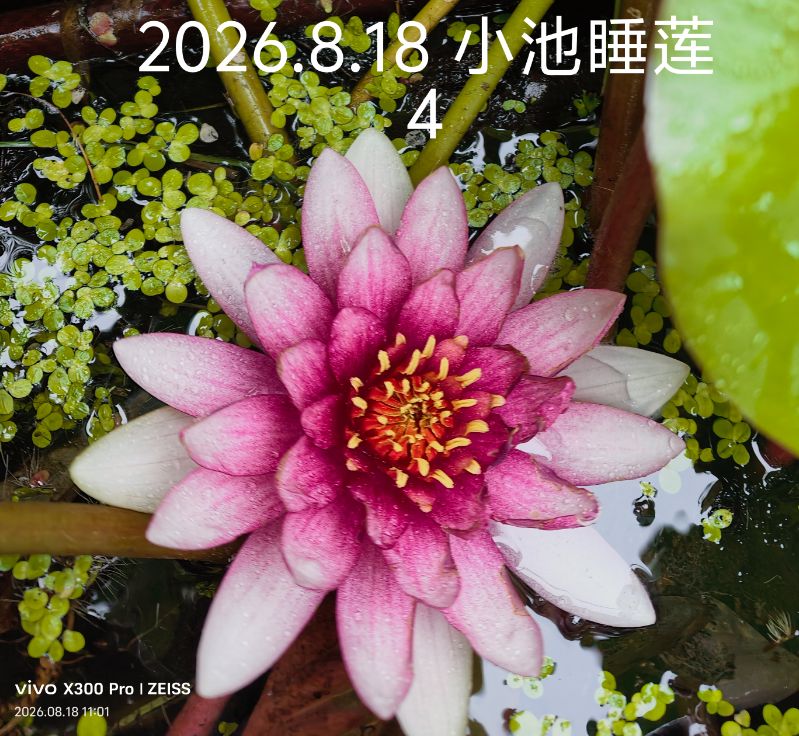 IMG_20260818_110941.jpg
