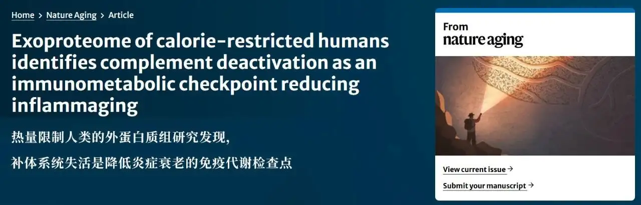 个被低估的抗炎形式：每顿饭少吃几口，炎症降了、衰老慢了
New